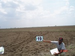 12722019a-rainfed-groundnut-cotton-chilli-fallowfarms.gif