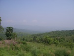 28196RIMG0185.JPG
