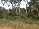 51155CIMG5540.JPG