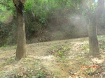 52695CIMG4216_调整大小.JPG