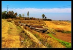 39647nEO_IMG_CIMG0414.jpg