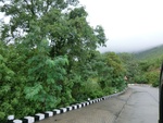 55837CIMG6516.JPG