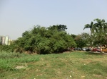 50904CIMG0604.JPG