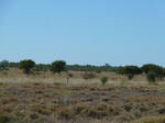 42495P1000294.jpg
