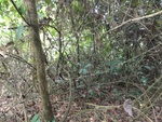46787DSC02125.JPG