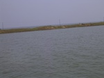 775R0015275.jpg