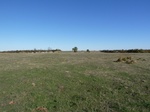 40354P1010463.JPG