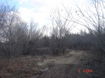 9741DSC04306.JPG