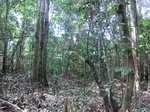 47220CIMG3557.JPG