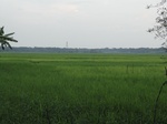 24589DSC00808.JPG