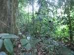 45637CIMG2722.JPG