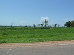 19573P1010420.JPG