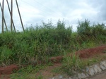 19992P1010842.JPG