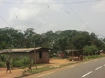 49253CIMG5590.JPG