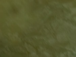 58285CIMG2732.JPG