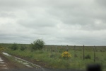 2023-11-13_14-12-13_89C5BE84-F01E-4FF6-A92B-B36CC1A9A62E.jpeg