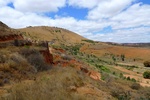 28653P1010670-1.JPG