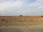 36666CIMG0435.JPG