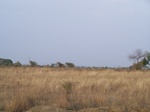 533501052008(30).JPG