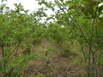 18637P1000475.JPG