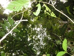 50205DSC02004.JPG