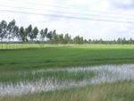 33383RIMG0123.JPG