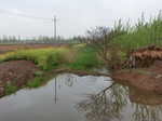52083CIMG0086.JPG