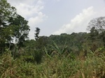 49101CIMG5438.JPG