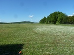 54274P1090004.JPG