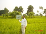 6720gt160-cropland-1.jpg