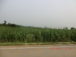 32892CIMG2031.JPG