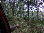 50658CIMG1287.JPG