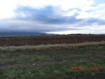 36380CIMG3625.JPG