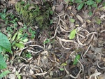 50210DSC02009.JPG