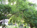 1697410052008(43).JPG