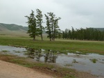 23504P1030356.JPG