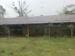 49916CIMG6253.JPG
