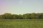 2024-06-17_21-44-26_D42BEC12-34BB-4D4D-A62C-5CE0EF60C429.jpeg