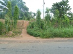 20737P1020594.JPG