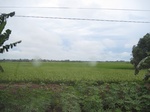 15746IMG_4834.JPG