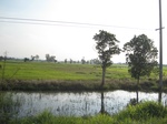 28160IMG_4994.JPG