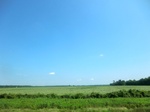 57599CIMG4188.JPG