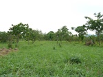 18634P1000472.JPG