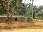 48313CIMG4650.JPG