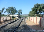 56264CIMG7004.JPG