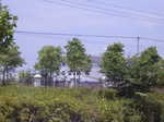 3541 109.jpg