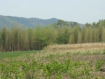 9222DSC03622.JPG