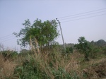 3782RIMG0086.JPG