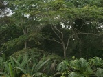 49944CIMG6281.JPG