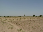19183P1010029.JPG